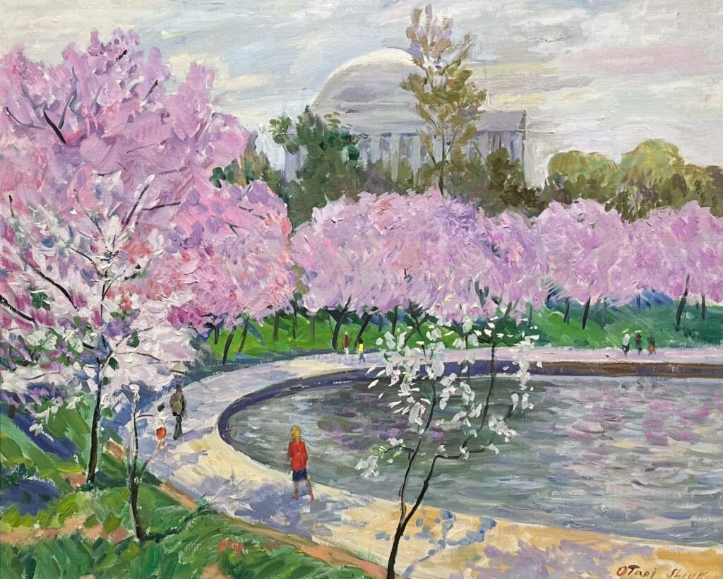 Cherry Blossoms Otari