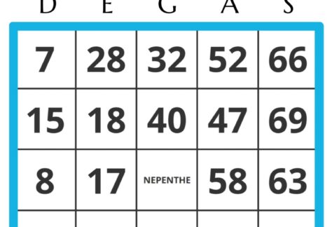 Nepenthe Bingo Graphic
