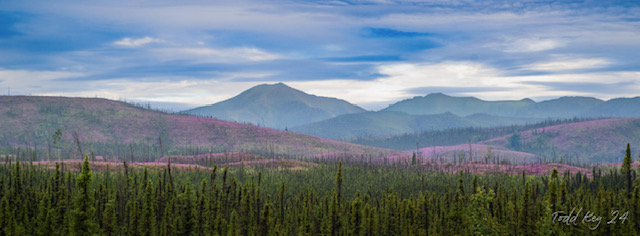 Alaskan Morning