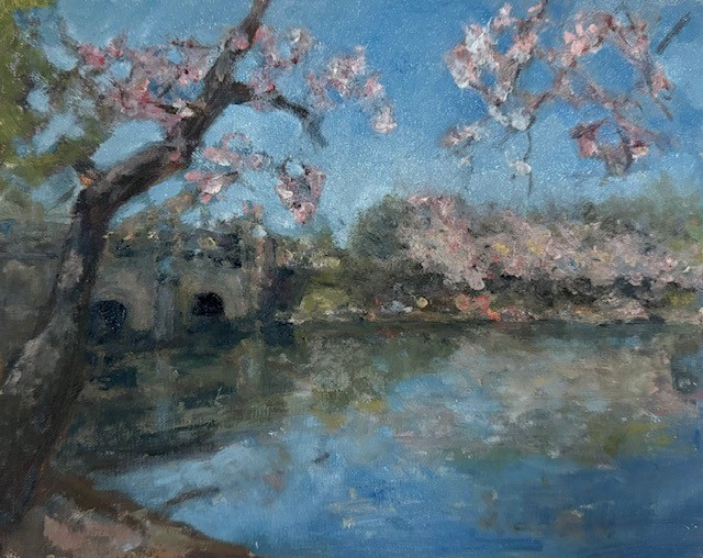 En plein air cherry blossoms river bridge spring