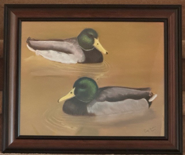 Huntley Meadows Mallards Artwork