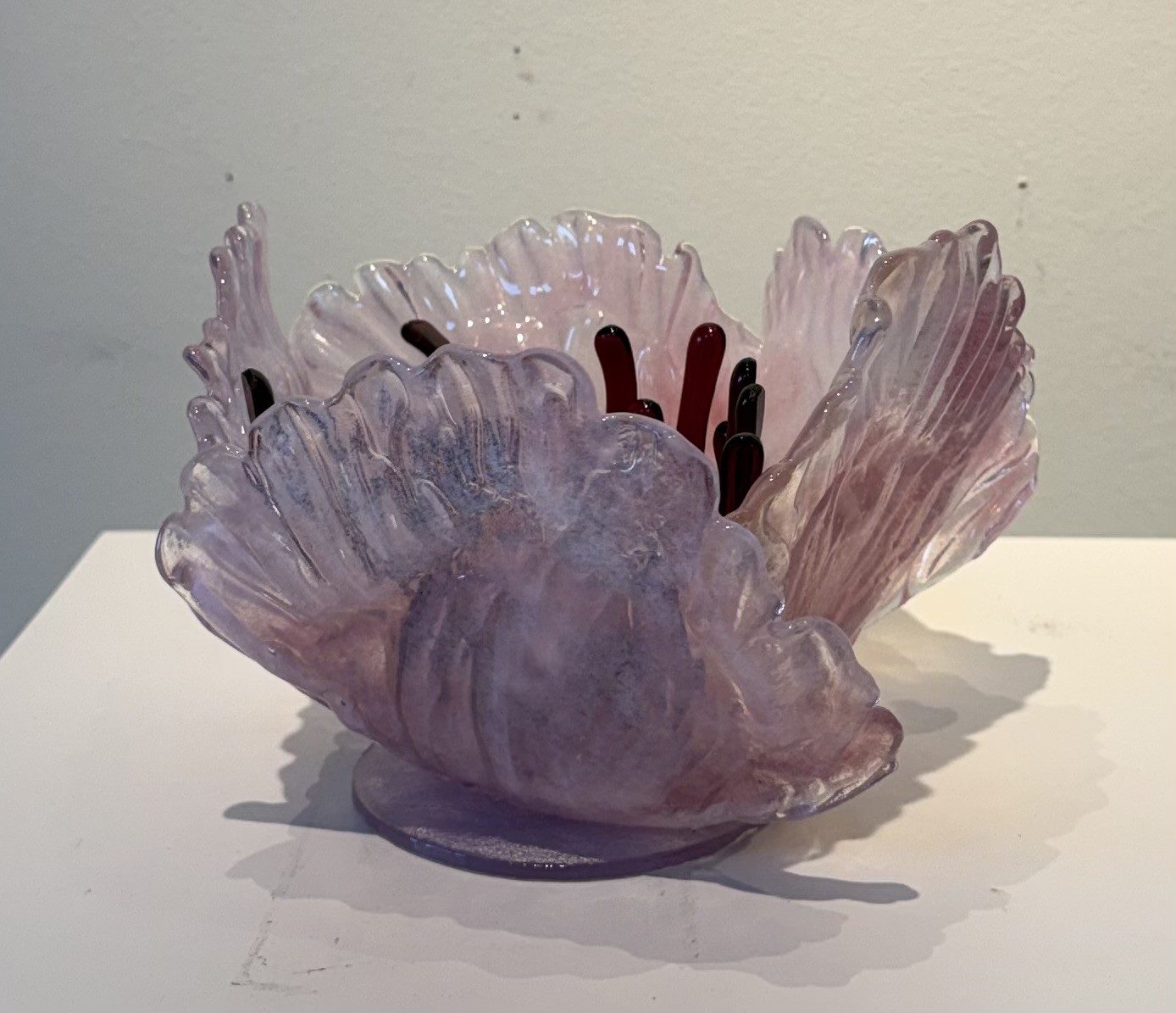 Pretty Pink Enlarged by Shona D’Cruz