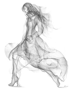 the wanderer by Lucienne Mettam