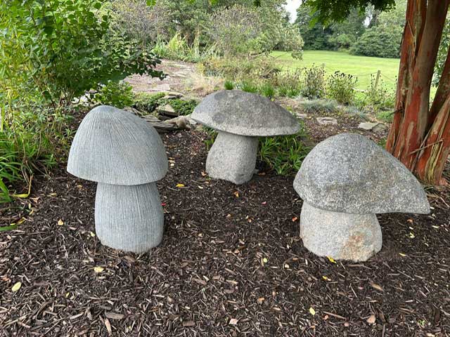 Mushrooms