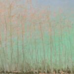 Wetlands